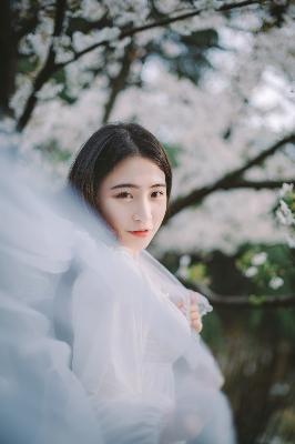 周生如故 电视剧